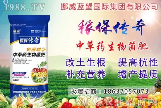 越冬菠菜施肥要注意什么問(wèn)題？越冬菠菜施肥四大原則！