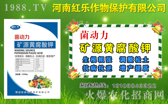 國內(nèi)磷銨價格市場行情早報2020.10.28