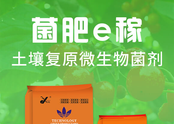 土壤復(fù)原微生物菌劑-菌肥e稼-昕爵_01