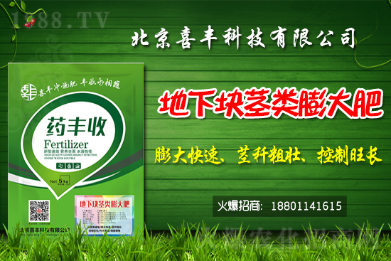     小麥價格還能繼續(xù)上漲嗎？2021春節(jié)前小麥價格預(yù)測！