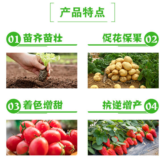 通用加強(qiáng)型植物營(yíng)養(yǎng)生長(zhǎng)促進(jìn)液-盛倍克-新盛禾豐_03