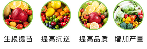 養(yǎng)根促根型有機(jī)水溶肥料-一畫(huà)農(nóng)業(yè)_06