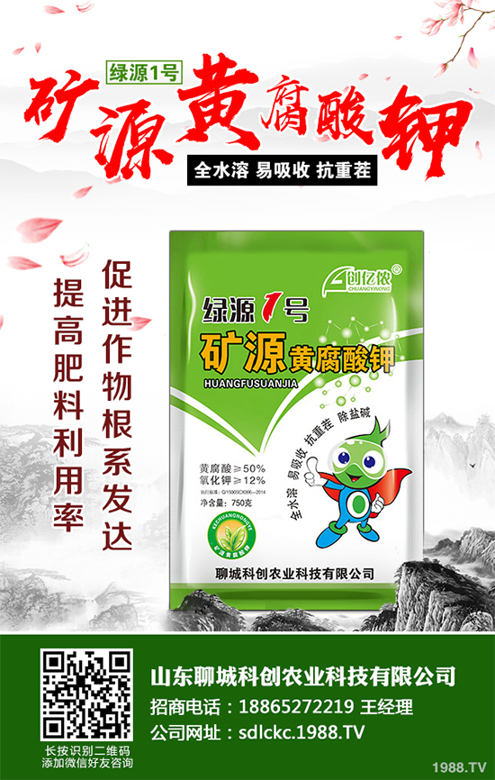 大棚番茄春季該如何澆水？大棚番茄的澆水方法(建議收藏)