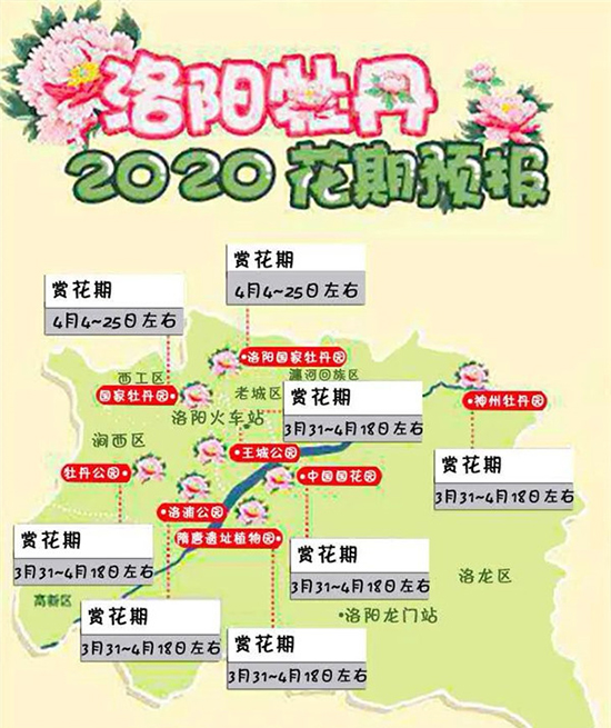 2020洛陽(yáng)牡丹花會(huì)