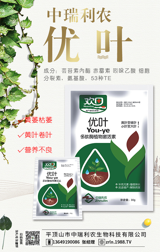 西瓜什么時(shí)間種植？西瓜伸蔓期管理要點(diǎn)！