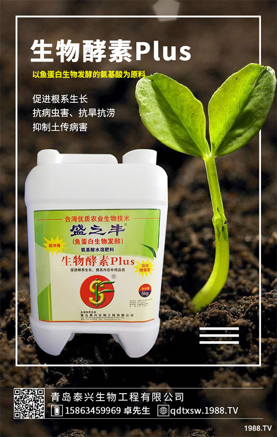 菜菔子有哪些神奇功效？萊菔子的功效作用及食用禁忌