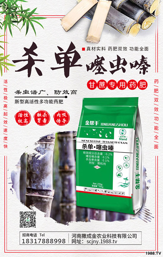 芹菜得了菌核病怎么辦？棚栽芹菜菌核病如何防治？