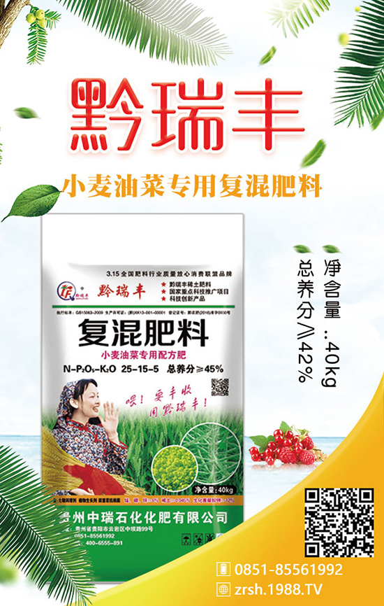 春季種植菠菜的四個環(huán)節(jié)