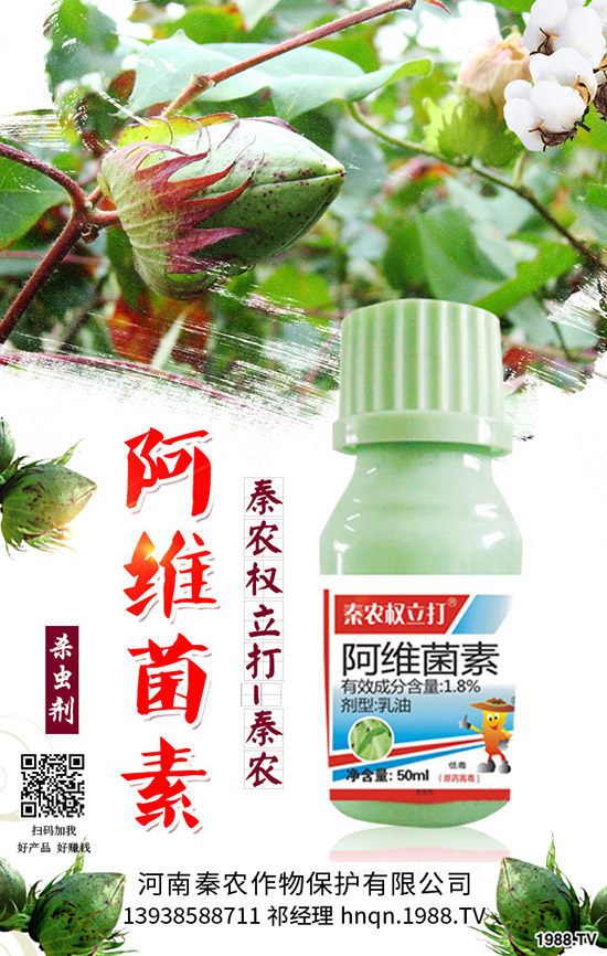 番茄生理性卷葉是什么原因？番茄生理性卷葉病的防治！