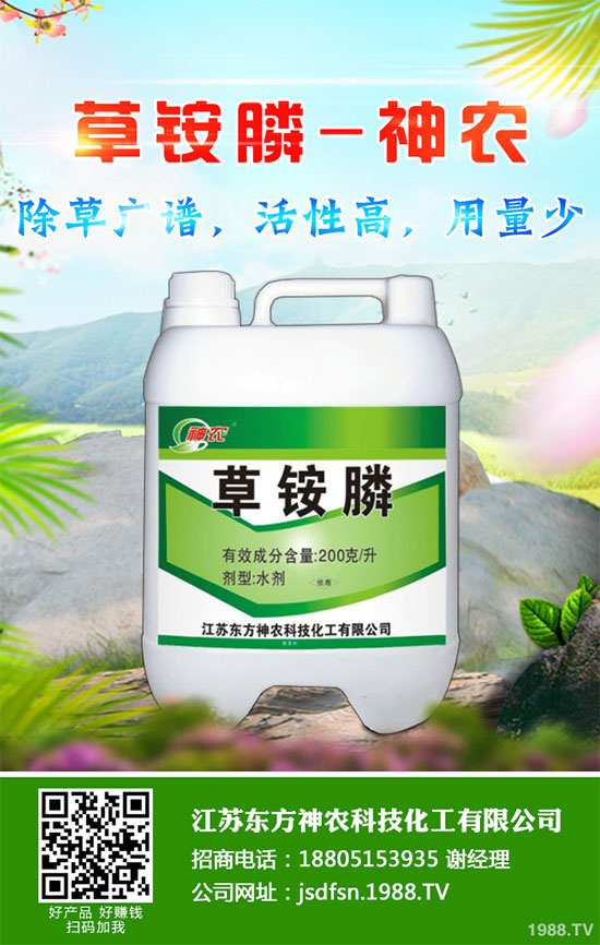 蒲公英種植如何實(shí)現(xiàn)高產(chǎn)？種植蒲公英效益如何呢？