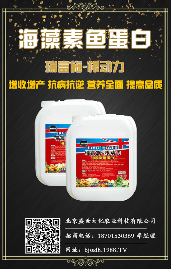 土茯苓是什么植物？土茯苓的功效與作用有哪些？