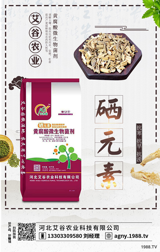 黑番茄該怎樣種植？如何管理才能獲得高產(chǎn)？黑番茄高產(chǎn)種植管理技術(shù)！