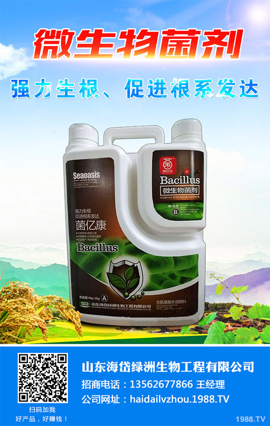 茼蒿該施什么肥料？如何施肥？聊聊茼蒿施肥那些事兒！