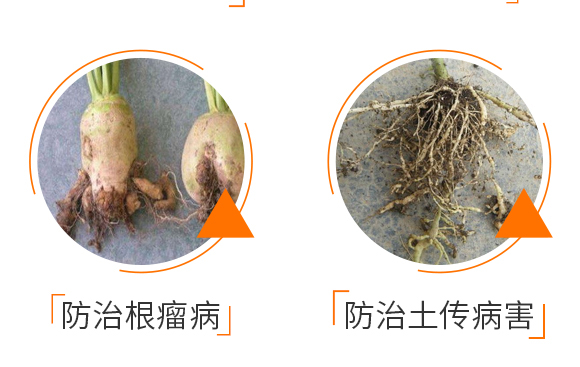 微生物菌劑哈茨木霉-止線(xiàn)俠-諾爾_05