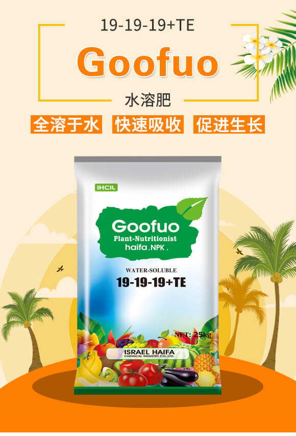 Goofuo水溶肥19-19-19+TE_01