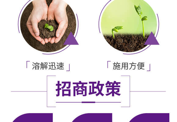 水溶性復合肥料12-43-5-伊可豐-海法_05