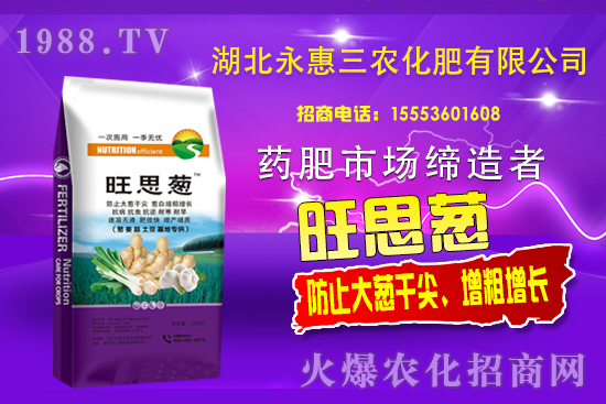 大蔥生長高峰期！大蔥干尖是咋回事，大蔥干尖防治要點有哪些？