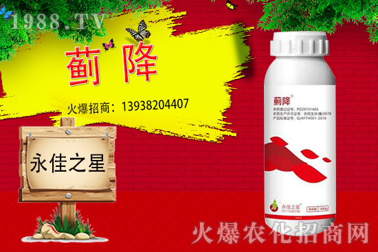 薊馬危害癥狀有哪些？用什么藥能有效防治？