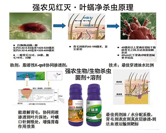 圖片11