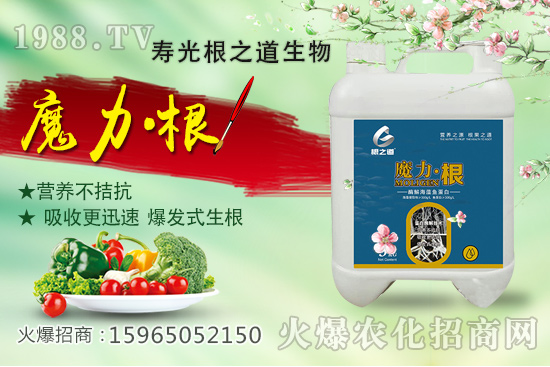 要想作物好，根系更重要！壽光根之道怎么樣？有哪些爆款產(chǎn)品？