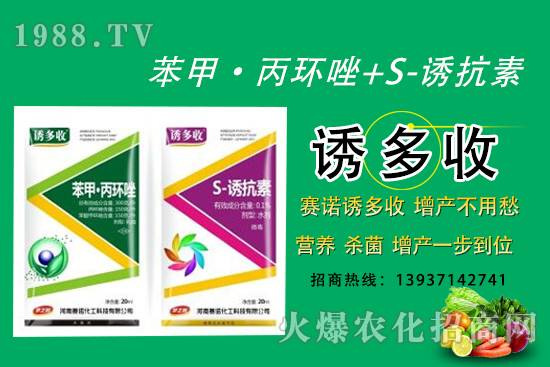 “苯甲·丙環(huán)唑+S-誘抗素”營養(yǎng)、殺菌、增產(chǎn)一步到位！