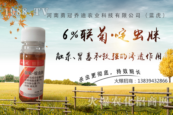 番茄白粉虱大爆發(fā)，防治難？“6%聯(lián)菊·啶蟲脒”卵蟲通殺，藥性強(qiáng)！