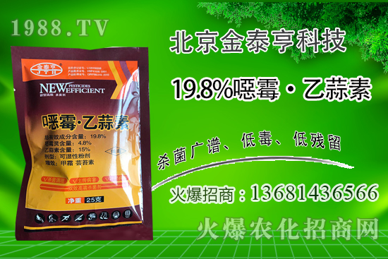 連年種植番茄青枯病越來越重！番茄青枯病可以防治嗎？用什么藥？