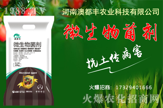 玉米穗期發(fā)育特點有哪些？玉米穗期田間管理要點！