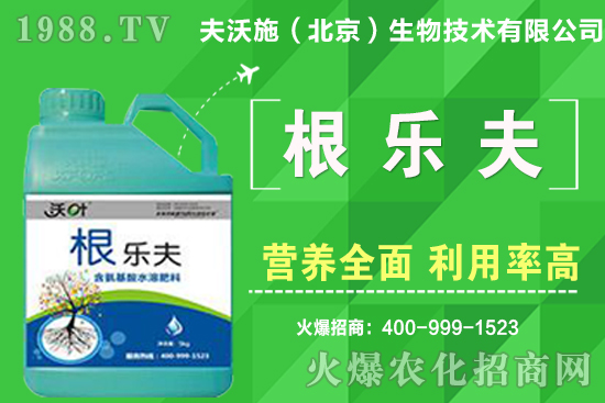 如何給蔬菜留種？蔬菜種子如何采收？良種標(biāo)準(zhǔn)有哪些？