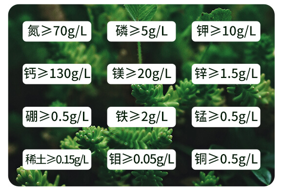 海藻十二元素-邦扶民-英爾果_04