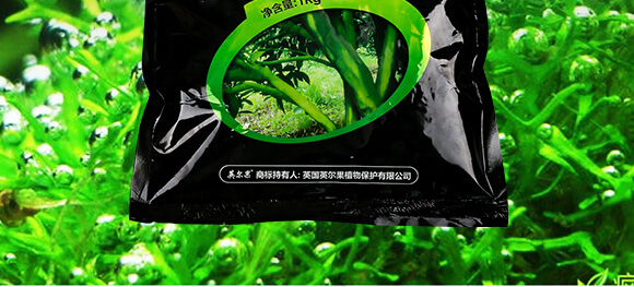 除青苔專用助劑-邦夫-英爾果_03