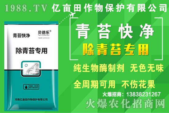 2020年種植哪些蔬菜更賺錢？熱門蔬菜種植項(xiàng)目推薦！