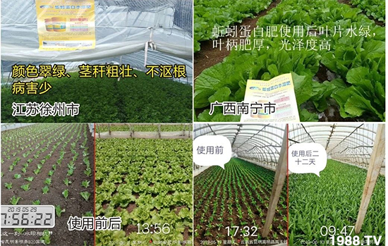 水溶肥市場大變革?。亢Ｔ寰?、魚蛋白將被它代替！1000多用戶鼎力推薦！