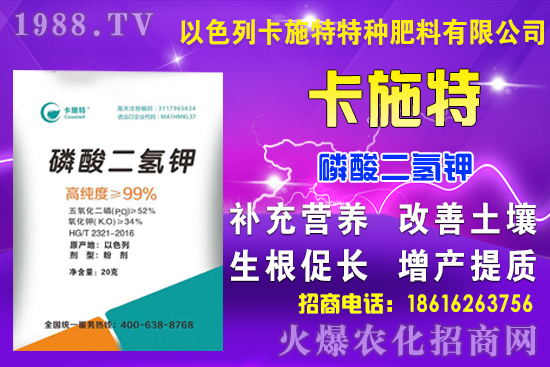 今日糧價(jià): 9月7日小麥?zhǔn)袌?chǎng)行情預(yù)測(cè)！