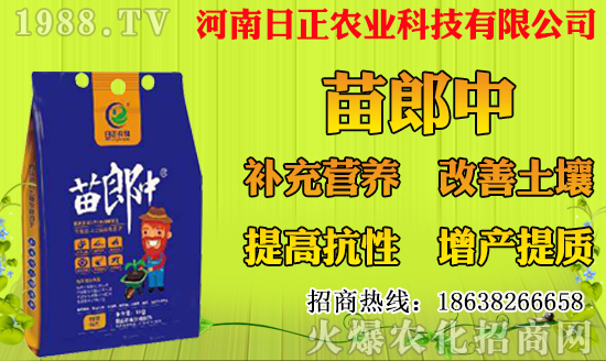 菠蘿種植多久結(jié)果？一年結(jié)幾次果？菠蘿種植技術(shù)要點！