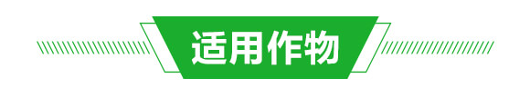 礦源黃腐酸鉀-暗金555-億豐隆_04