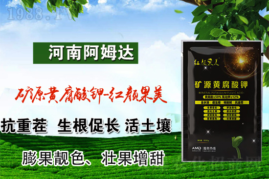 需求清淡，2021年12月2日國內(nèi)氯化鉀價(jià)格行情