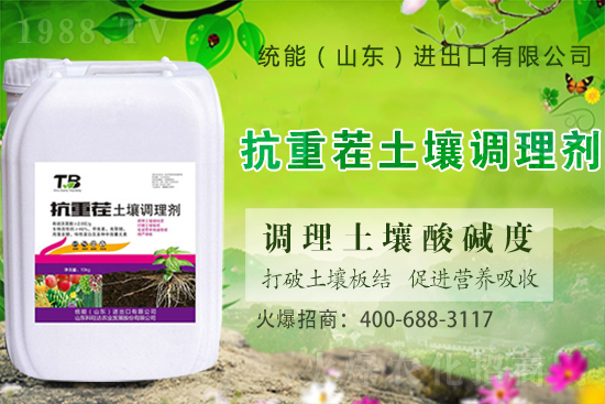 板栗種植怎么選苗子？板栗種植管理要點(diǎn)！