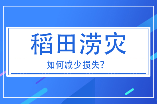 稻田澇災(zāi)發(fā)生后，如何減少損失？