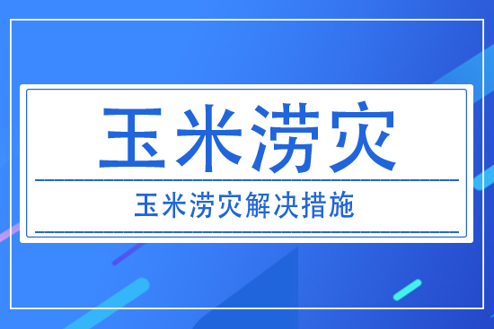 澇災(zāi)對(duì)玉米產(chǎn)量有什么影響？玉米澇災(zāi)采取措施解決？