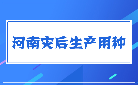 河南災(zāi)后生產(chǎn)用種