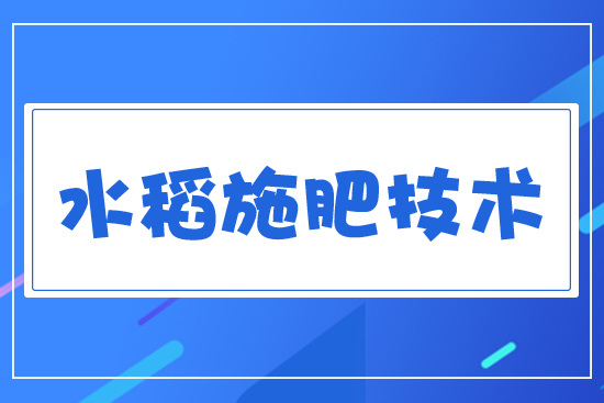 水稻施肥技術