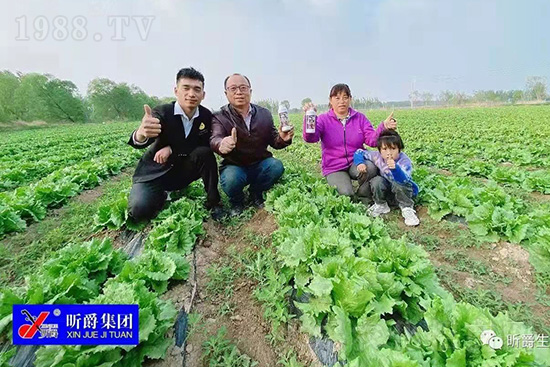 作物落花落果、座果低不用急！激發(fā)潛能，促花座果的秘訣在這！