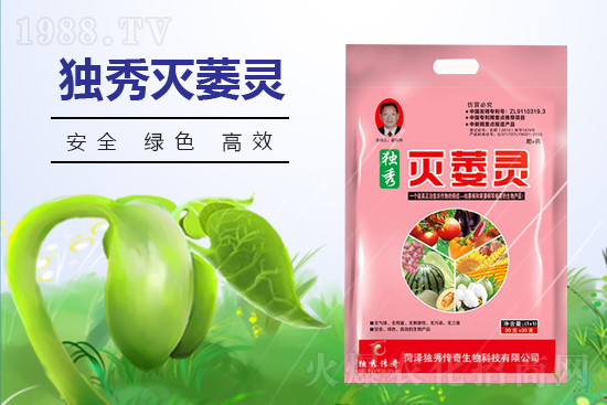 番茄發(fā)生枯萎病什么癥狀？番茄枯萎病的預(yù)防措施