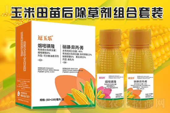 玉米除草效果差，什么原因？玉米除草劑怎么選？