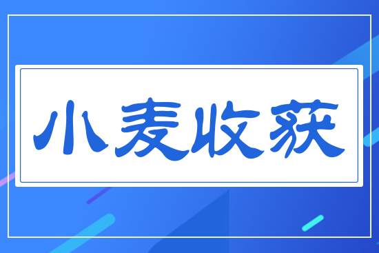 小麥?zhǔn)斋@