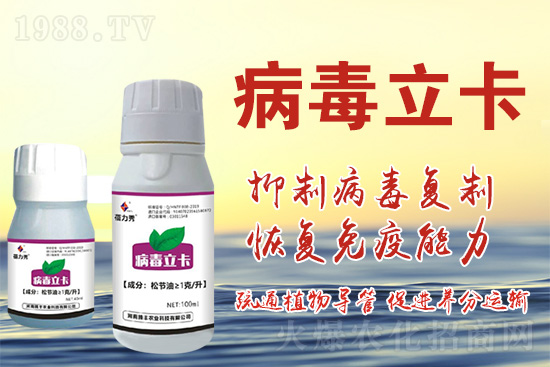 破解植物病毒防治難題！快速恢復(fù)生機(jī)！這個(gè)藥打上就管用！