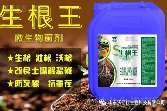 作物重茬、爛根死棵嚴(yán)重啥原因？如何改善這些難題？