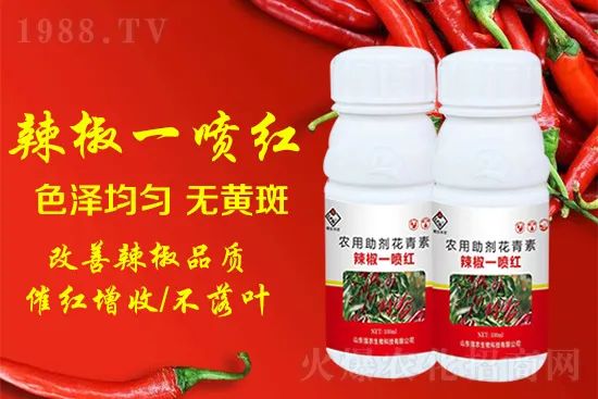 辣椒催紅增收專利產(chǎn)品！自然增紅零激素，色澤勻無黃斑