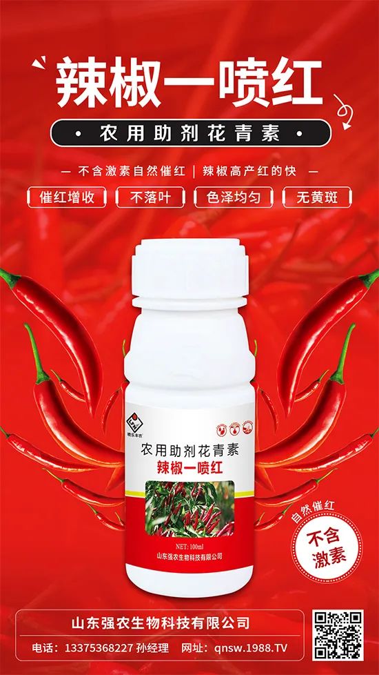 辣椒催紅增收專利產(chǎn)品！自然增紅零激素，色澤勻無黃斑